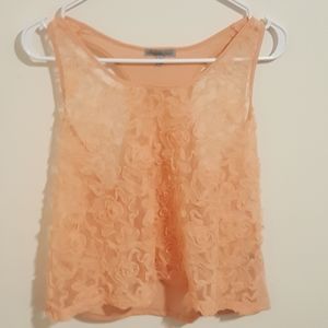 🌼3 for 22🌼Charlotte Russe Sheer Crop Tank